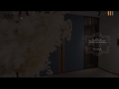 ファディオール 3代目 ステンレス・スチール 衣装