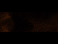 ファディオール会社 役員