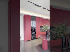 Modern Rouge Red Stainless Steel Kitchen Cabinet With Solid SS Countertop