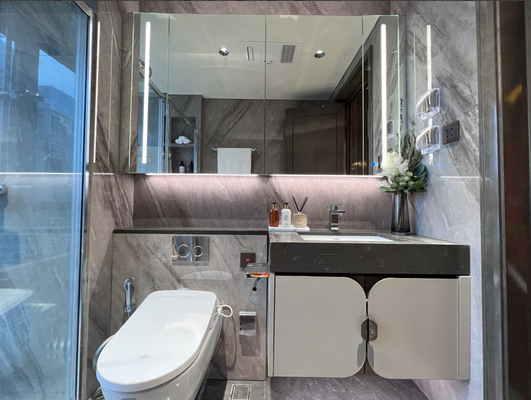 Scratch Resistant Contemporary Bathroom Cabinet SS Cabinet For Bathroom