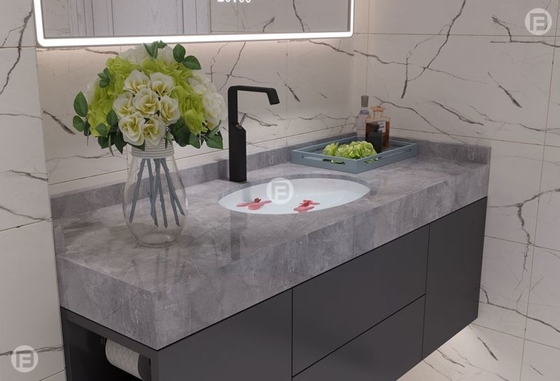 Fadior Customized Meridian Gray Stainless Steel Bathroom Vanity Cabinet