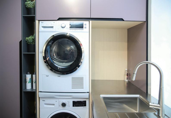 Fadior Stainless Steel Soft Pink Laundry Sink Cabinet Formaldehyde Free