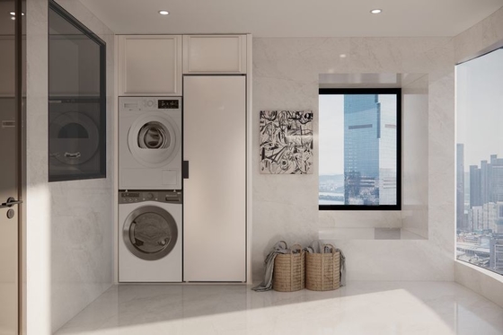 Fadior Stainless Steel Balcony Cabinet With Integrated Laundry And Storage Solution