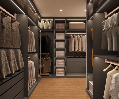 Steel Elegance Modern Gray Walk-In Closet With Gold Accents