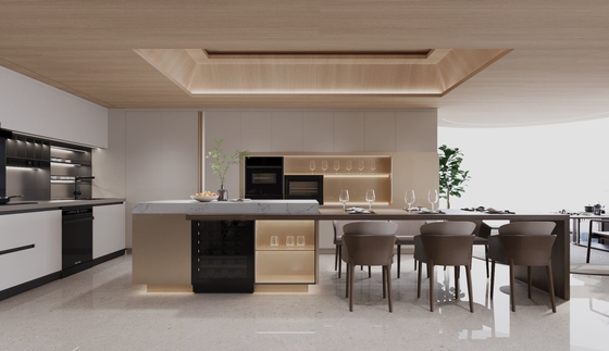 Luxury Stainless Steel Modern Kitchen Cabinet With Sustainable Design Functionality And Elegance