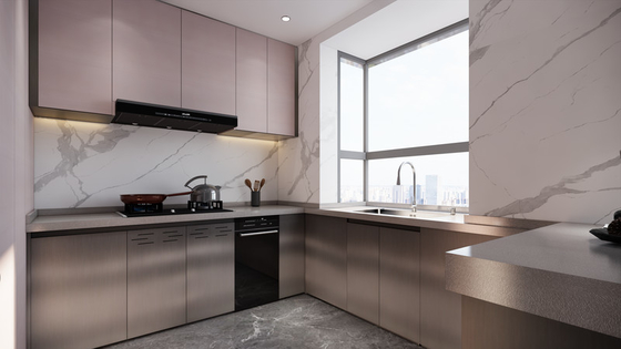 Modern Sleek Elegant Pink And  Original Finish Stainless Steel Kitchen Cabinets