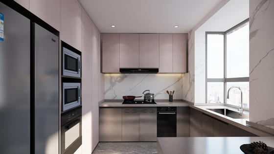 Modern Sleek Elegant Pink And  Original Finish Stainless Steel Kitchen Cabinets