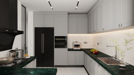Timeless Stainless Steel Kitchen Cabinet With Dark Green Quartz Countertop And Raised Panel Doors