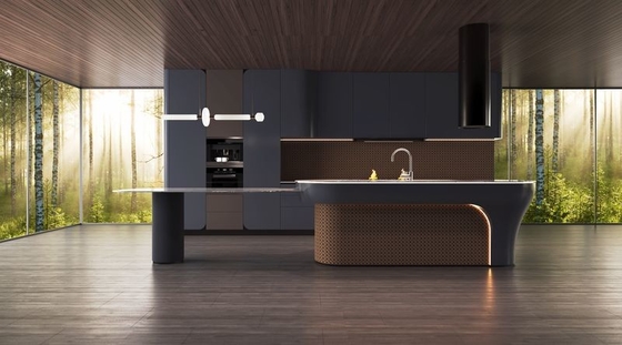 Modern Rouge Red Stainless Steel Kitchen Cabinet With Solid SS Countertop