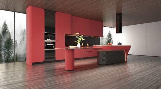 Modern Rouge Red Stainless Steel Kitchen Cabinet With Solid SS Countertop